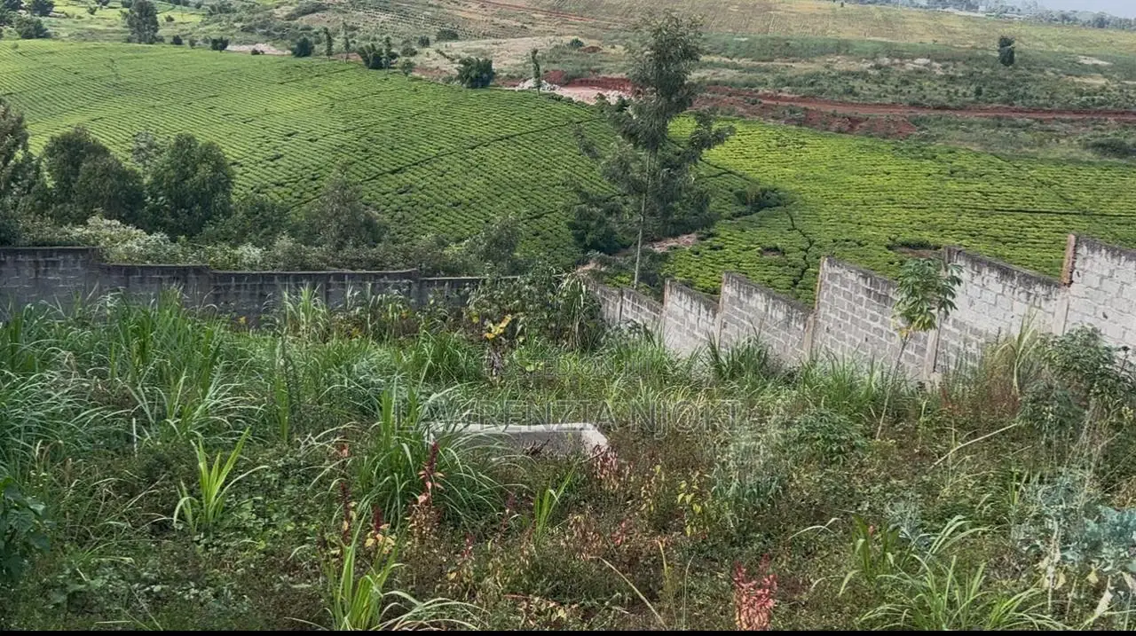 Residential 100*100 Plot On Sale Kasphat Estate.