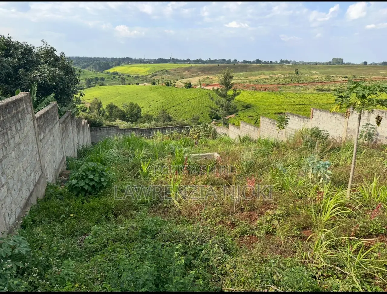 Residential 100*100 Plot On Sale Kasphat Estate.