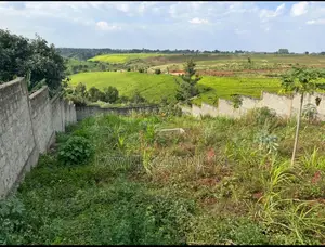 Residential 100*100 Plot On Sale Kasphat Estate.