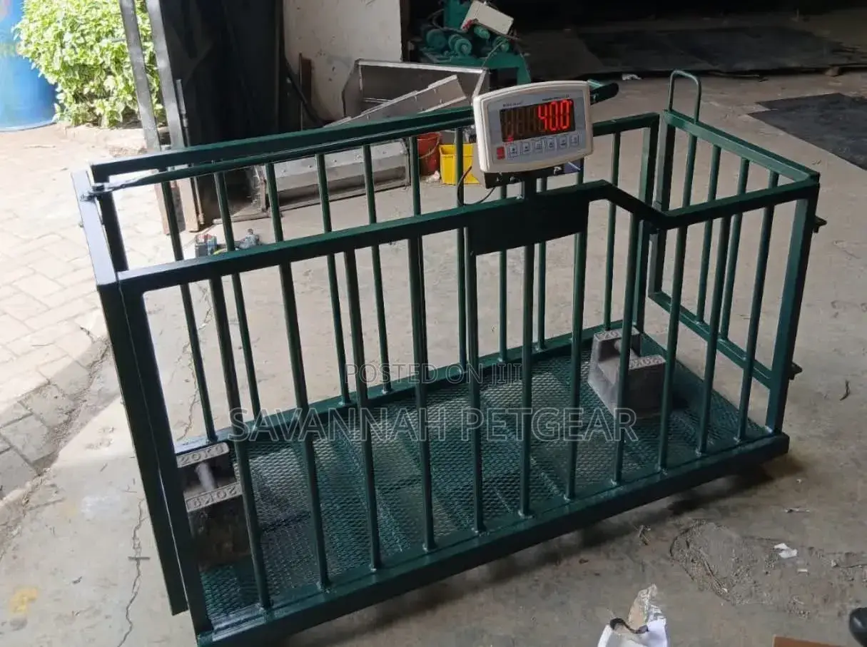 Pig Weighing Scale Digital and Accurate for Best Results