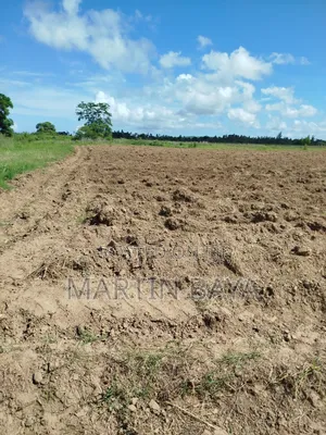 12 Acre Parcel of Prime Irrigation Land in Malindi -Madunguni