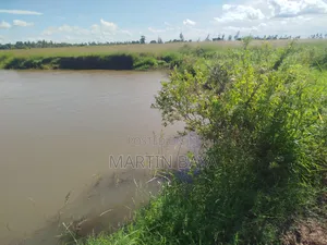 12 Acre Parcel of Prime Irrigation Land in Malindi -Madunguni