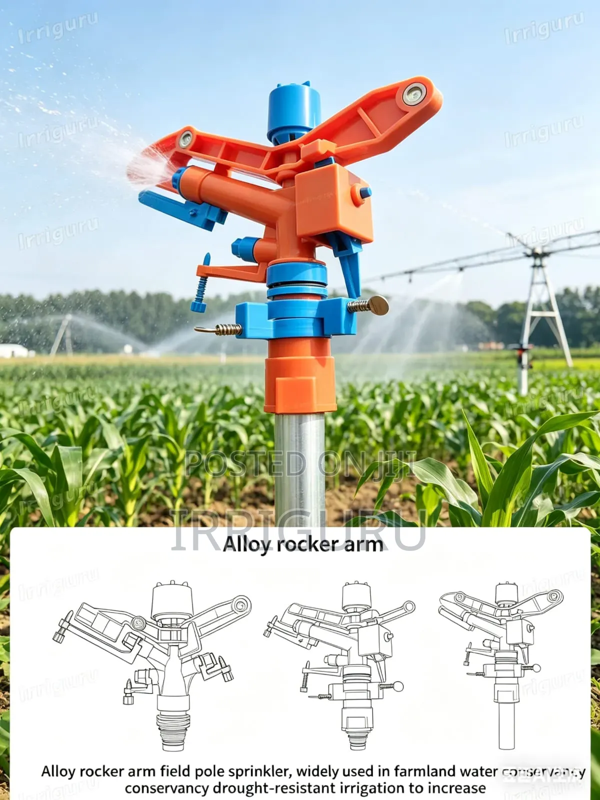 Orange Sprinklers