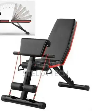 Gym Exercise Bench
