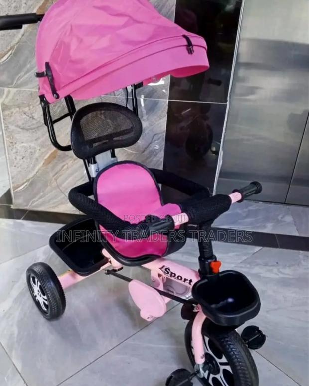 Push Tricycle With Canopy - main view
