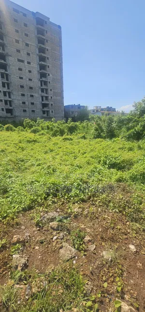 1 Acre Piece of Land for Long Term Let, City Mall Nyali