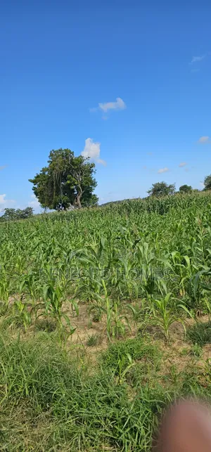 12 Acres Agricultural Land on Sale Mavueni Near Bahari Girls