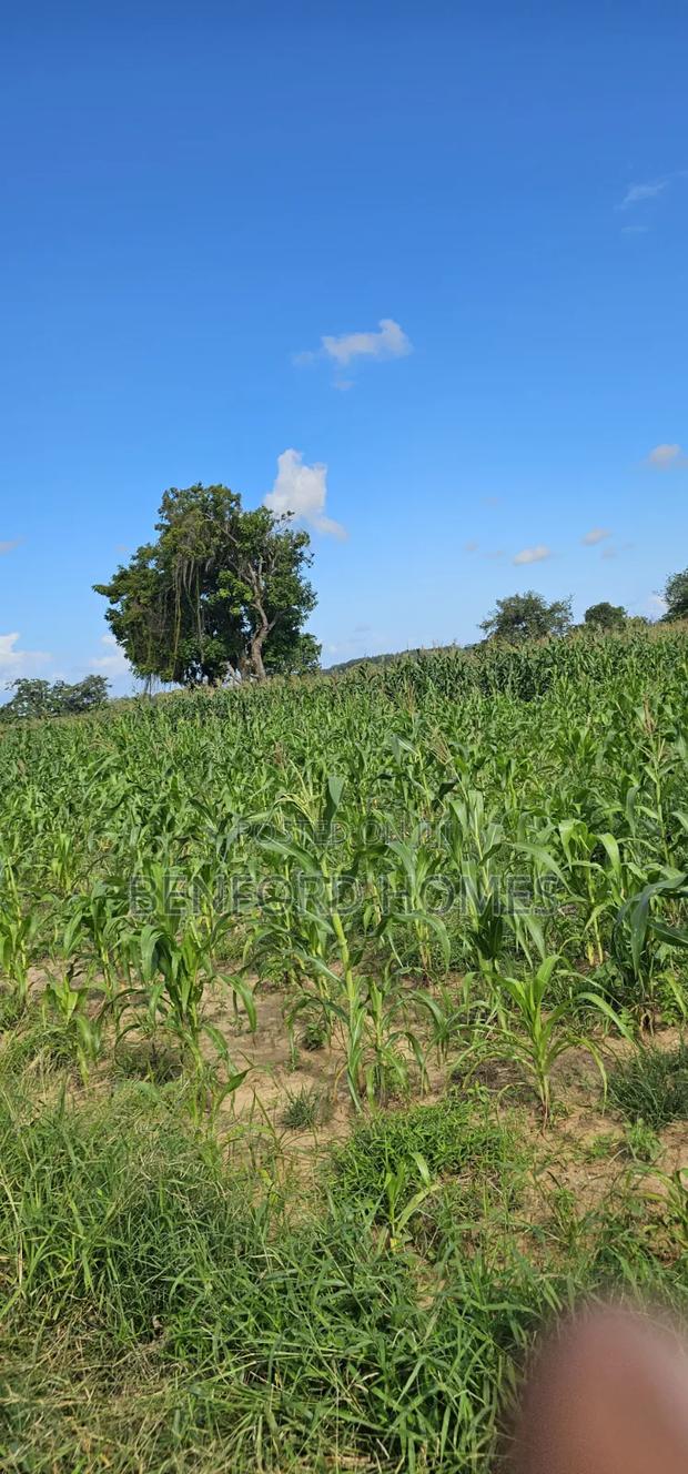 12 Acres Agricultural Land on Sale Mavueni Near Bahari Girls - thumbnail 2