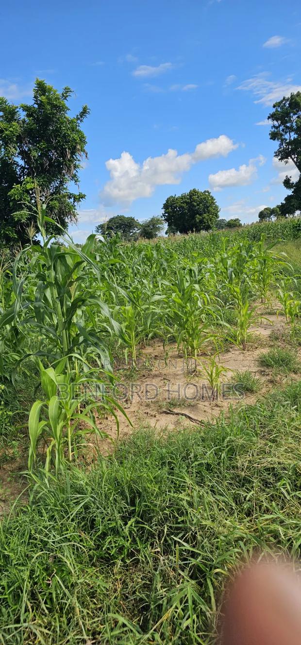 12 Acres Agricultural Land on Sale Mavueni Near Bahari Girls - thumbnail 3