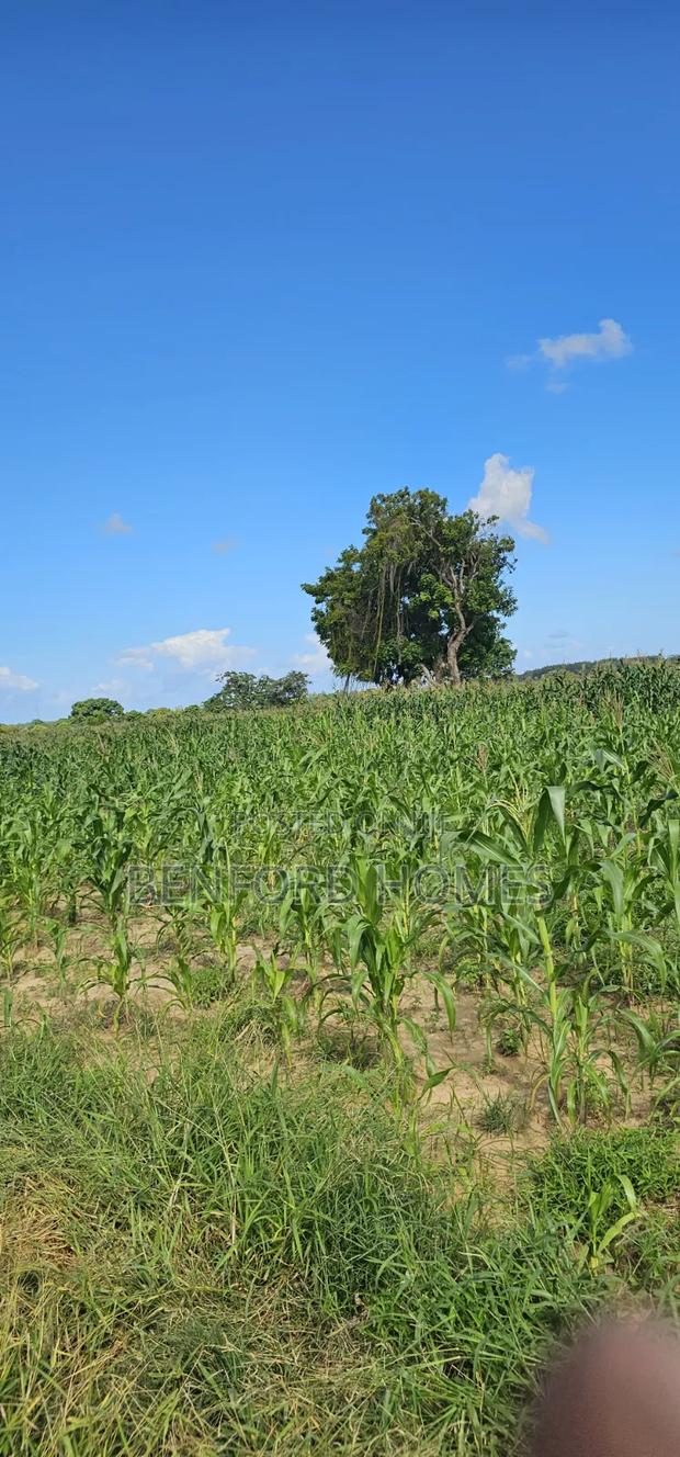 12 Acres Agricultural Land on Sale Mavueni Near Bahari Girls - thumbnail 4