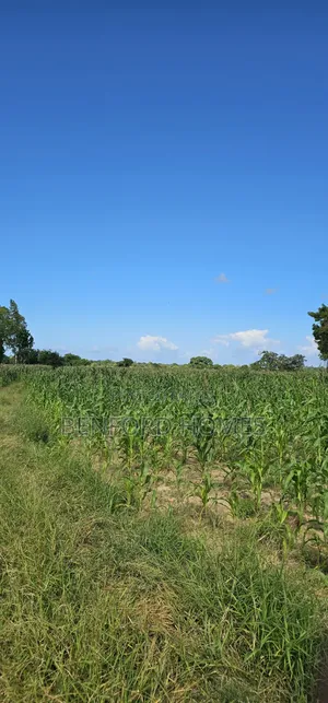 12 Acres Agricultural Land on Sale Mavueni Near Bahari Girls