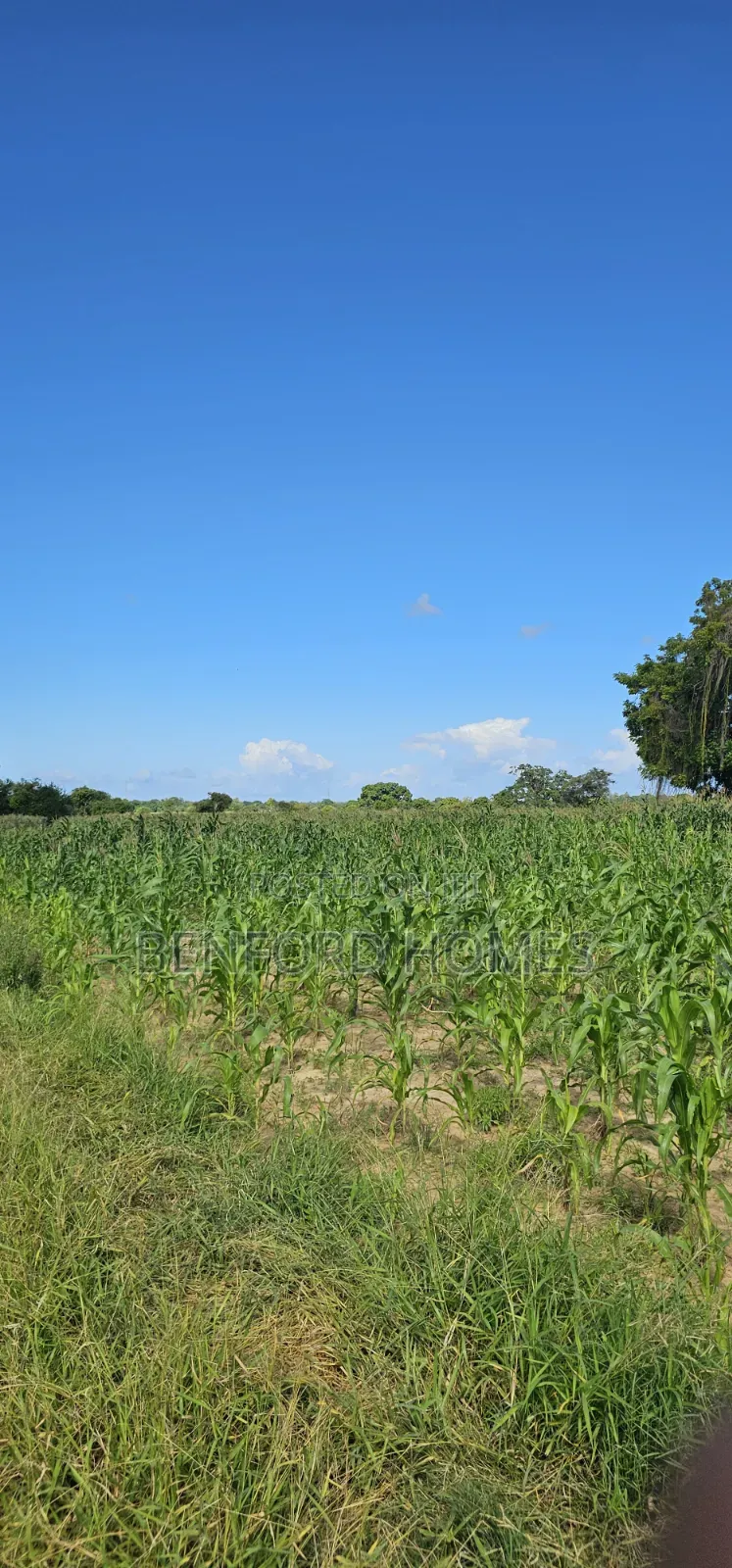 12 Acres Agricultural Land on Sale Mavueni Near Bahari Girls