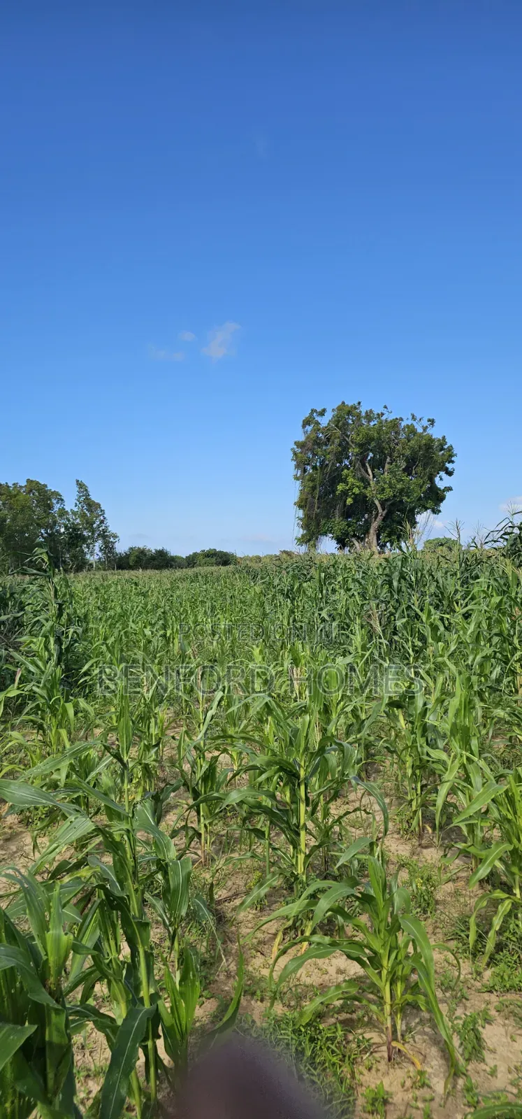 12 Acres Agricultural Land on Sale Mavueni Near Bahari Girls