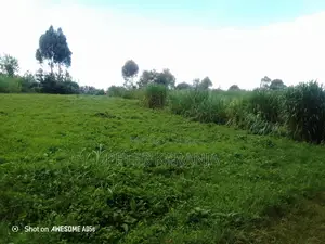 2.5 Acres for Sale