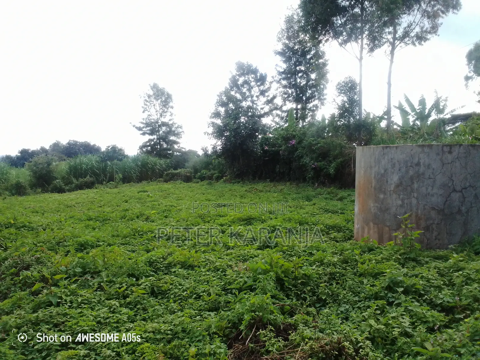 2.5 Acres for Sale