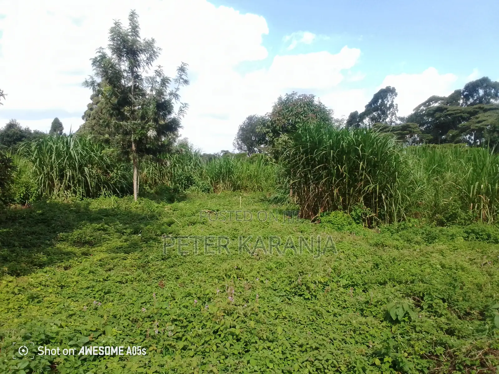 2.5 Acres for Sale