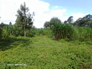 2.5 Acres for Sale