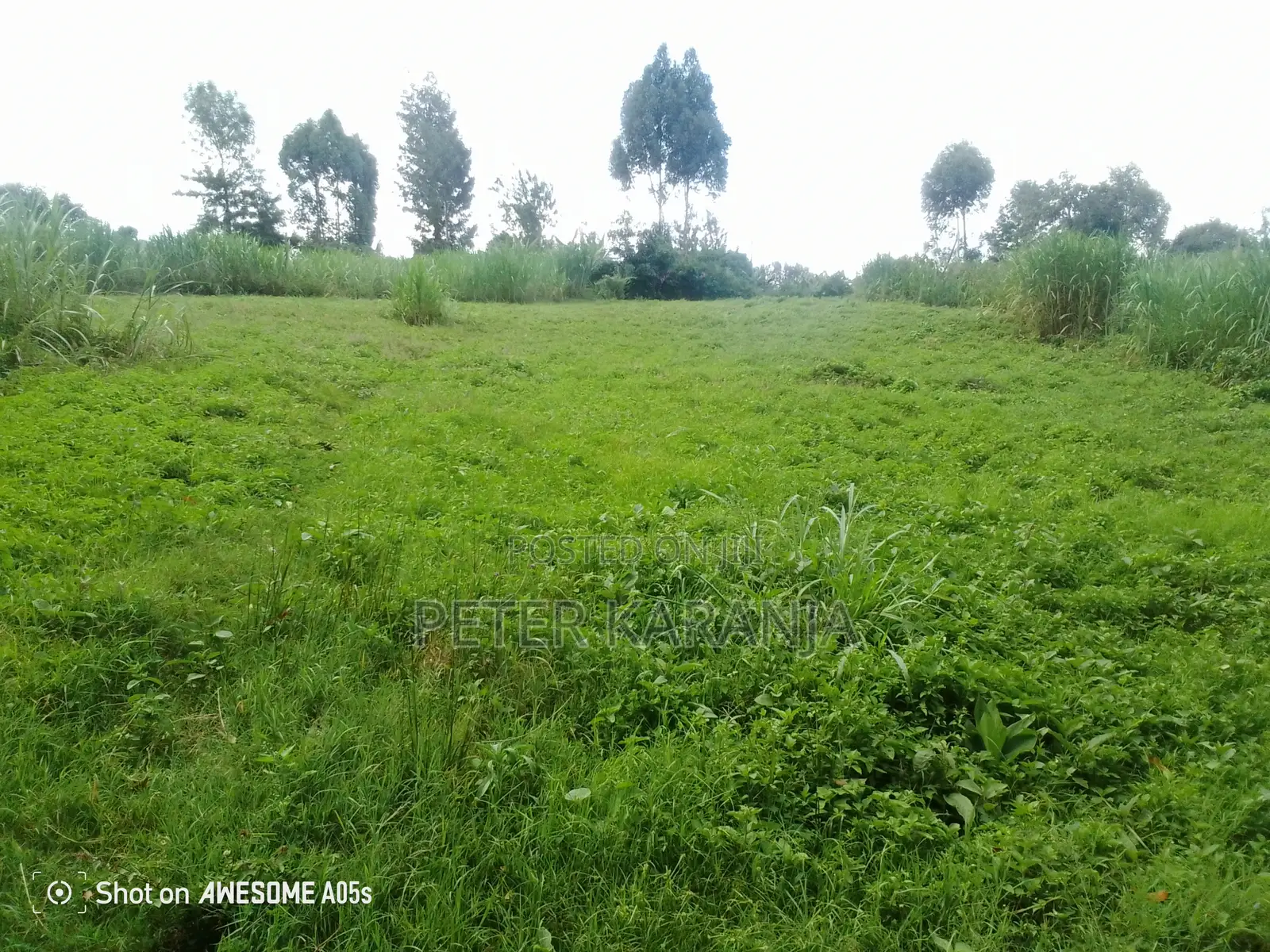 2.5 Acres for Sale