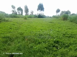 2.5 Acres for Sale