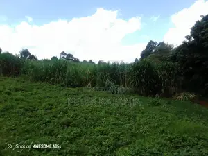 2.5 Acres for Sale