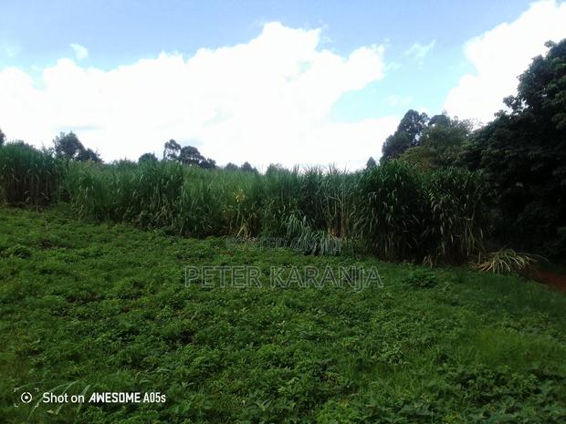 2.5 Acres for Sale - thumbnail 5
