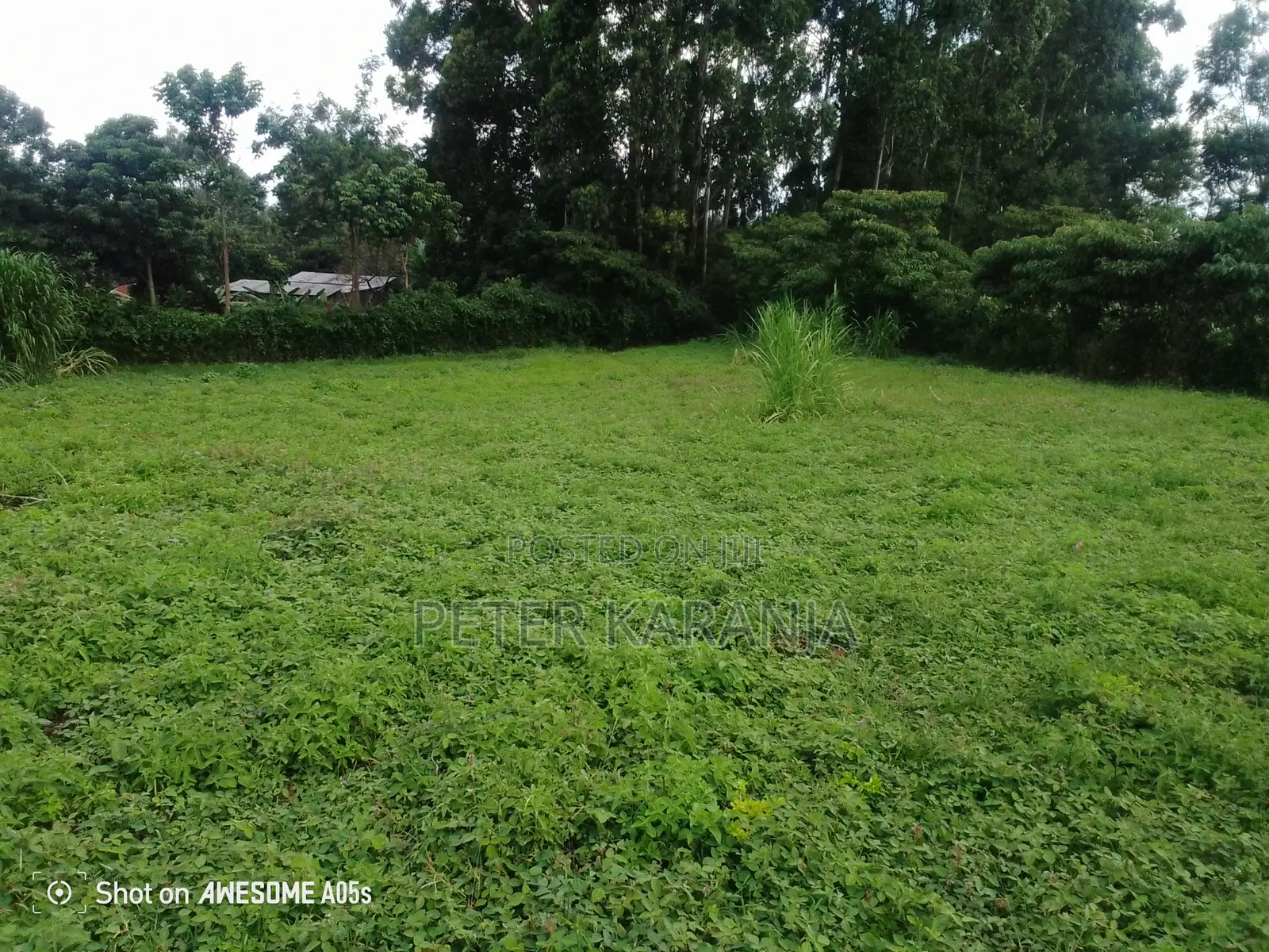 2.5 Acres for Sale
