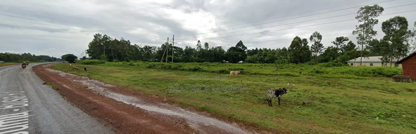 Prime 1.5 Acre Commercial Land – Busia-Kisumu Highway | Dual Access