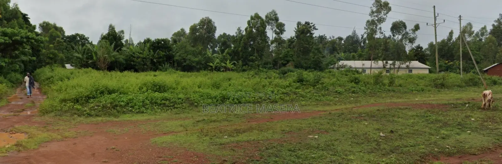 Prime 1.5 Acre Commercial Land – Busia-Kisumu Highway | Dual Access