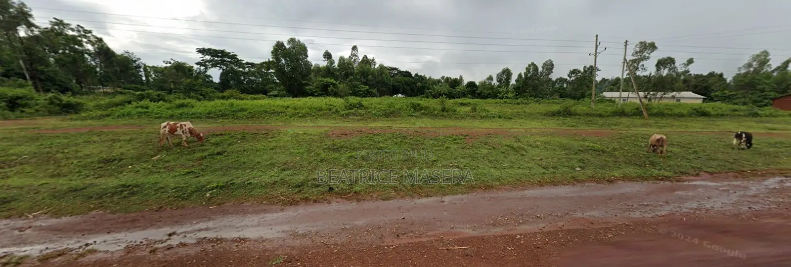 Prime 1.5 Acre Commercial Land – Busia-Kisumu Highway | Dual Access