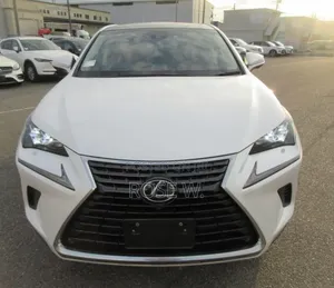Lexus NX 2018 White