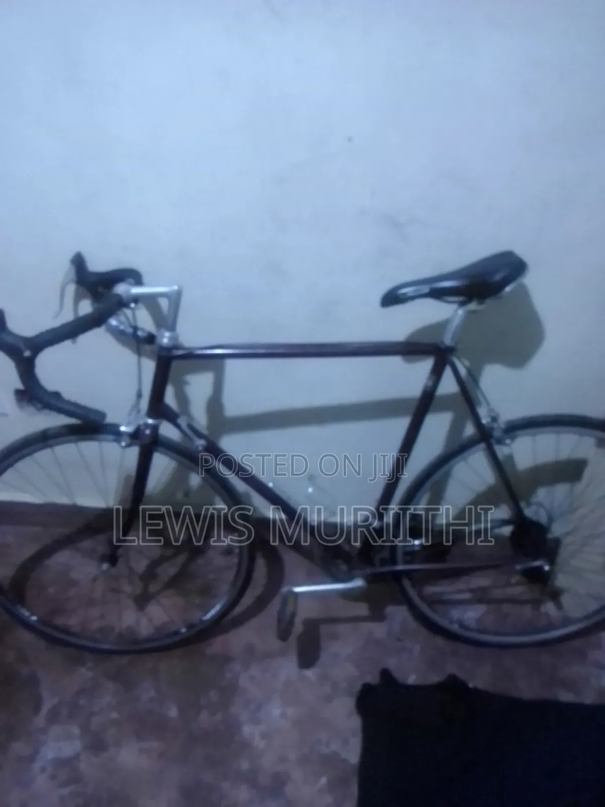 Shimano Raleigh Bike