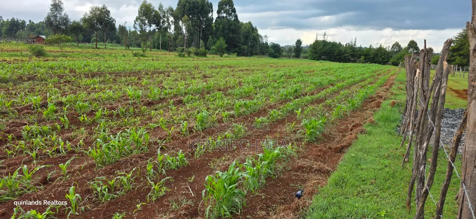 3 Acres Up for Sale in Eldoret Kapseret in St George's
