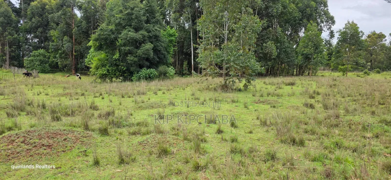 3 Acres Up for Sale in Eldoret Kapseret in St George's