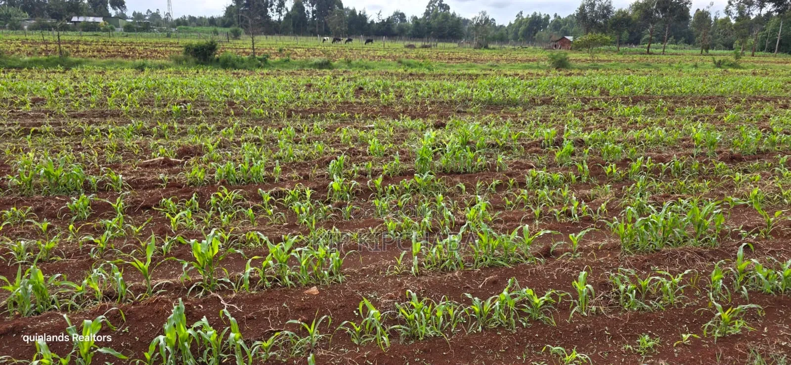 3 Acres Up for Sale in Eldoret Kapseret in St George's