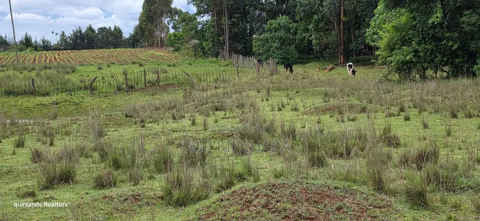3 Acres Up for Sale in Eldoret Kapseret in St George's