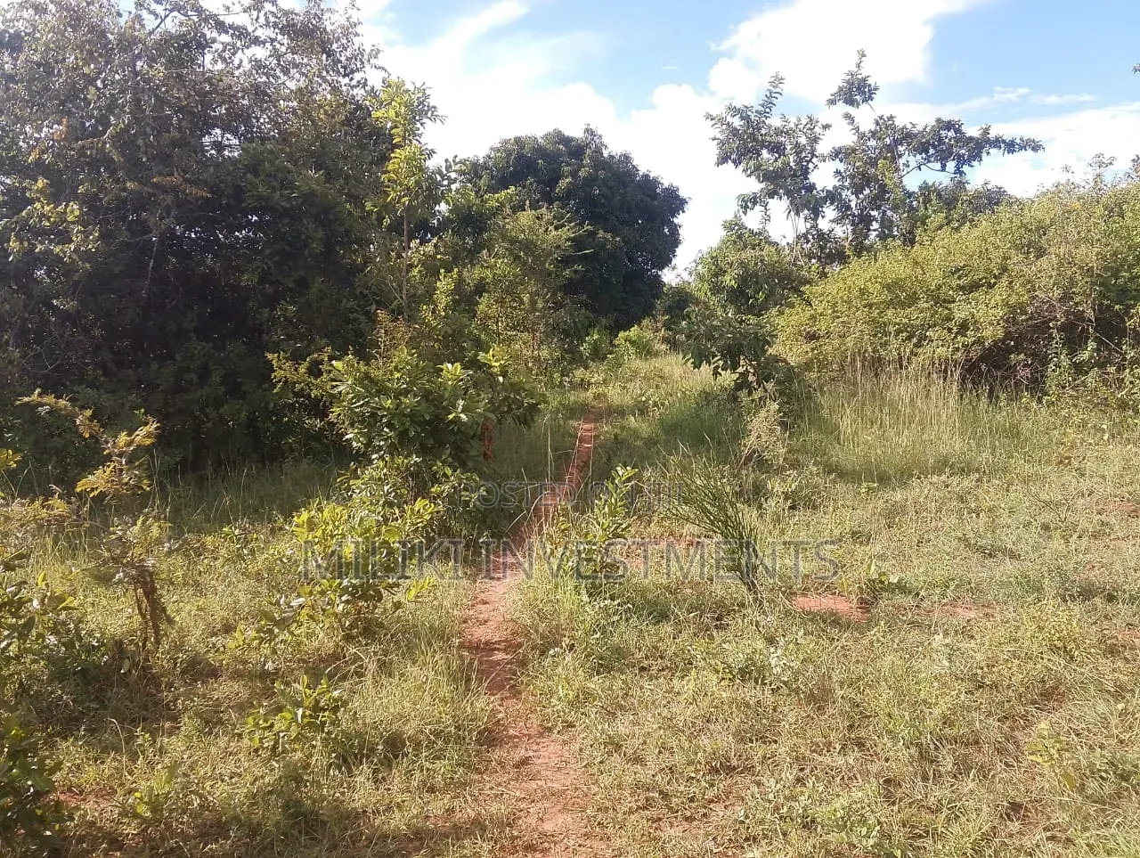 6 Acres on Sale at Makuyu -Mithiini