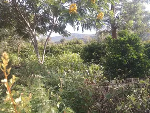 6 Acres on Sale at Makuyu -Mithiini