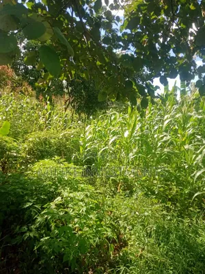 Half an Acre on Sale at Sabasaba-Murang'A