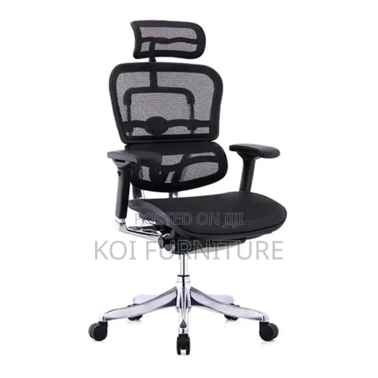 Office Chairs; Bl0igty High Back Orthopedic Office Chairs