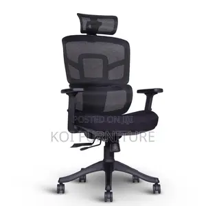 Office Chairs; Bl0igty High Back Orthopedic Office Chairs