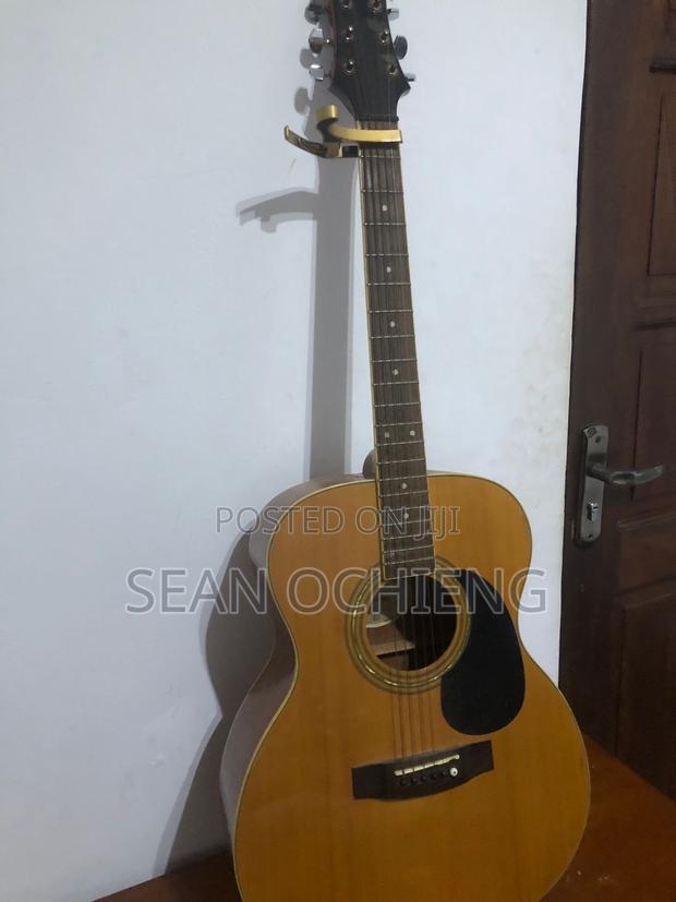 Acoustic Guitar - main view
