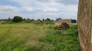 50×100 Plot for Sale in Juja