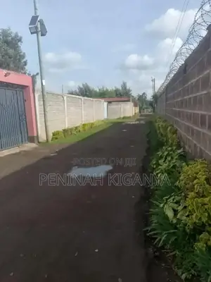 1bdrm Block of Flats in Makhapila Apartments, Rumwe for rent