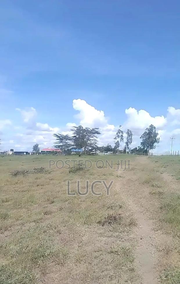 Isinya Highway Gardens - thumbnail 3