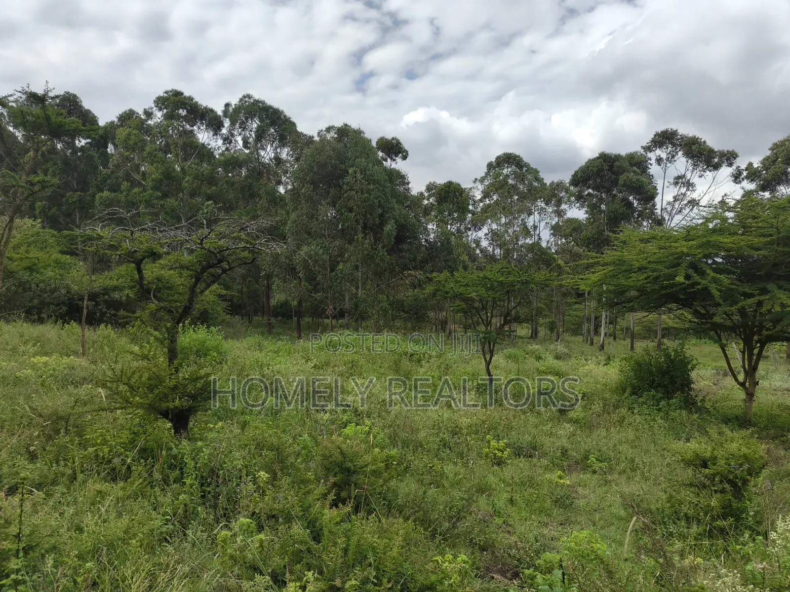 Quarter Acre Plot for Sale Near Merisho, in Matasia Ngong