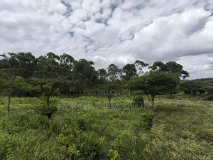 Quarter Acre Plot for Sale Near Merisho, in Matasia Ngong