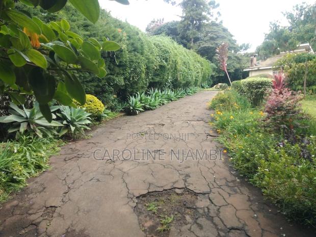 5bdrm Bungalow in Limuru Road, Nairobi Central for sale - thumbnail 4