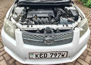 Toyota Corolla Fielder 2009