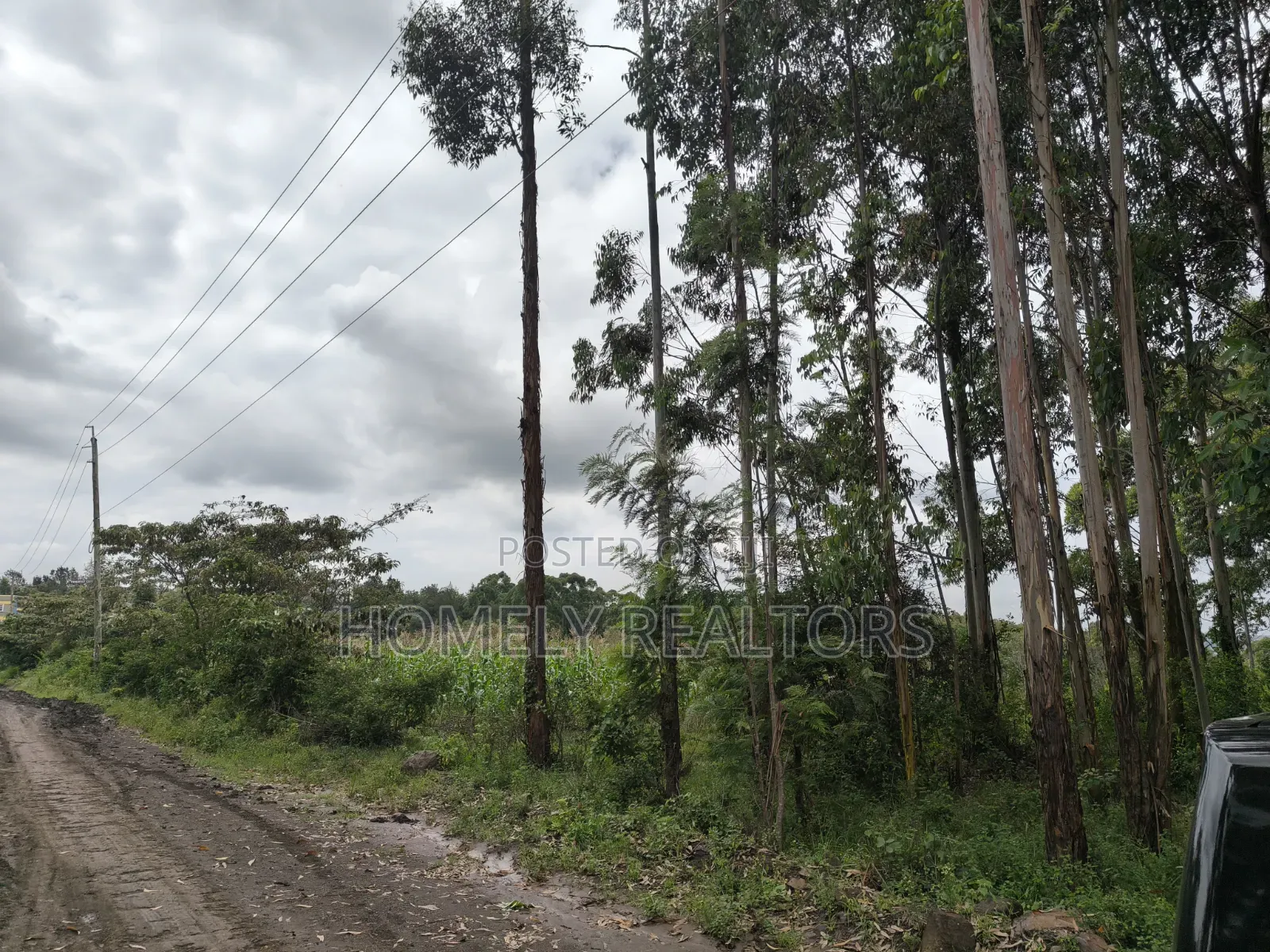 Prime 3.5 Acres of Land for Sale in Ngong, Matasia Near Merisho