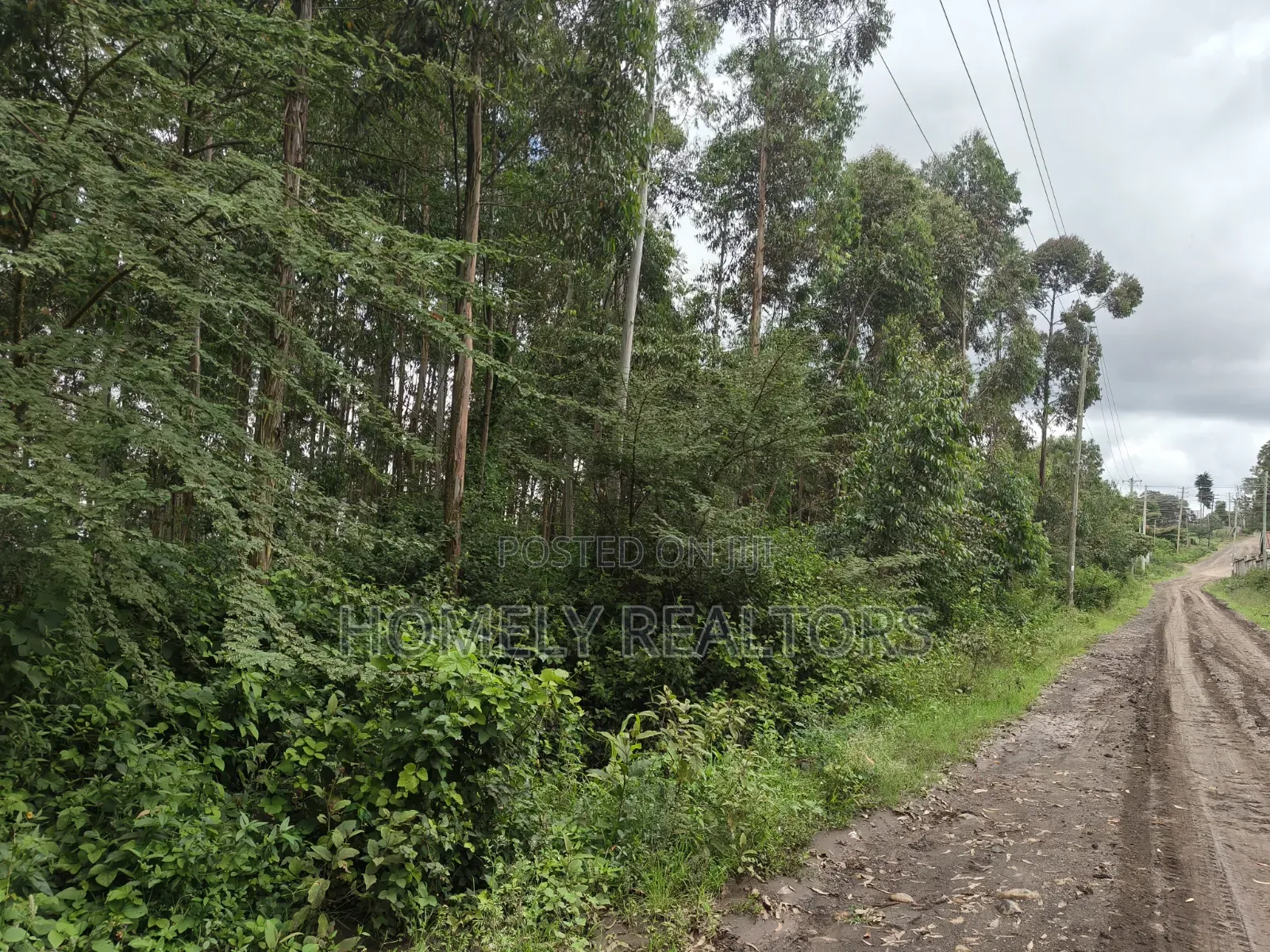 Prime 3.5 Acres of Land for Sale in Ngong, Matasia Near Merisho